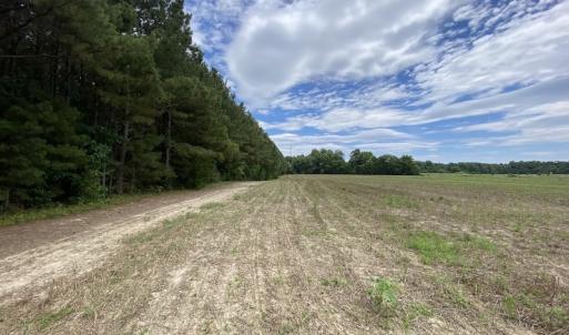 Photo #28 of SOLD property in Off General Mahone Highway, Waverly, VA 41.0 acres
