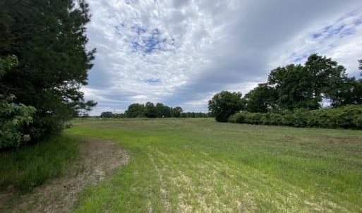 Photo #33 of SOLD property in Off General Mahone Highway, Waverly, VA 41.0 acres