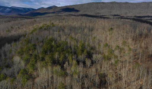 Photo #3 of SOLD property in 2880 South Buffalo Rd, Lexington, VA 341.1 acres