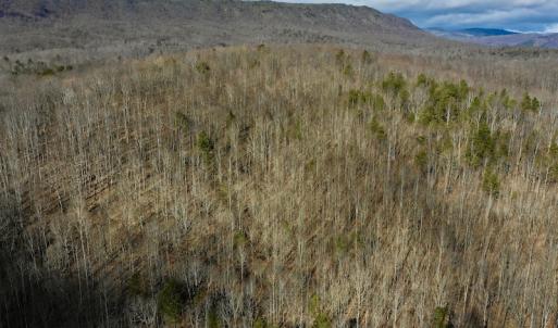 Photo #5 of SOLD property in 2880 South Buffalo Rd, Lexington, VA 341.1 acres