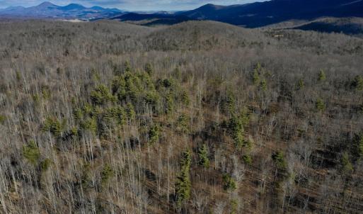 Photo #6 of SOLD property in 2880 South Buffalo Rd, Lexington, VA 341.1 acres