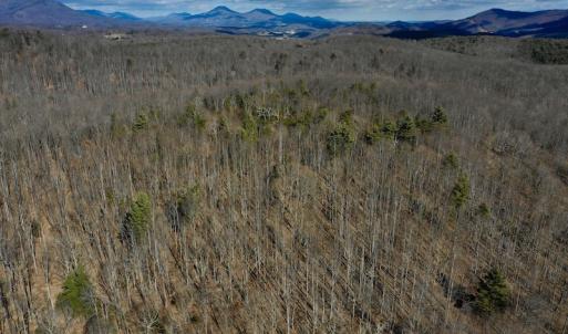 Photo #11 of SOLD property in 2880 South Buffalo Rd, Lexington, VA 341.1 acres