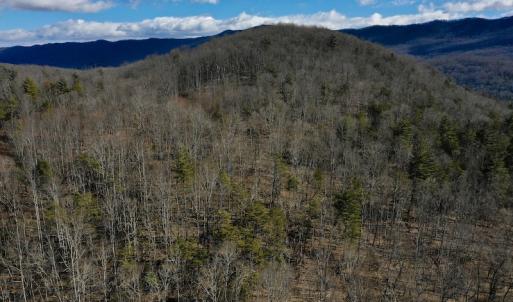 Photo #15 of SOLD property in 2880 South Buffalo Rd, Lexington, VA 341.1 acres