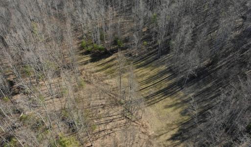 Photo #16 of SOLD property in 2880 South Buffalo Rd, Lexington, VA 341.1 acres