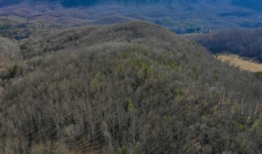 Photo #17 of SOLD property in 2880 South Buffalo Rd, Lexington, VA 341.1 acres