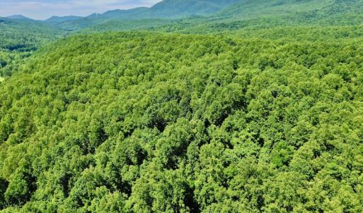 Photo #21 of SOLD property in 2880 South Buffalo Rd, Lexington, VA 341.1 acres