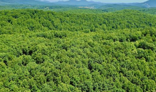 Photo #25 of SOLD property in 2880 South Buffalo Rd, Lexington, VA 341.1 acres