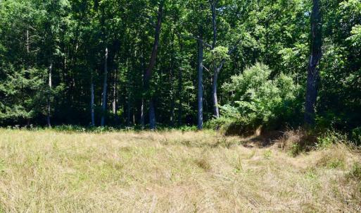 Photo #26 of SOLD property in 2880 South Buffalo Rd, Lexington, VA 341.1 acres