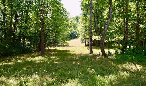 Photo #31 of SOLD property in 2880 South Buffalo Rd, Lexington, VA 341.1 acres