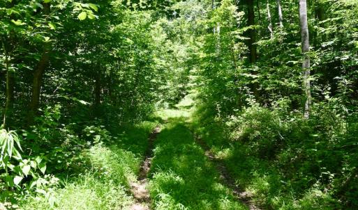 Photo #32 of SOLD property in 2880 South Buffalo Rd, Lexington, VA 341.1 acres