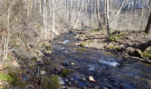 Photo #41 of SOLD property in 2880 South Buffalo Rd, Lexington, VA 341.1 acres