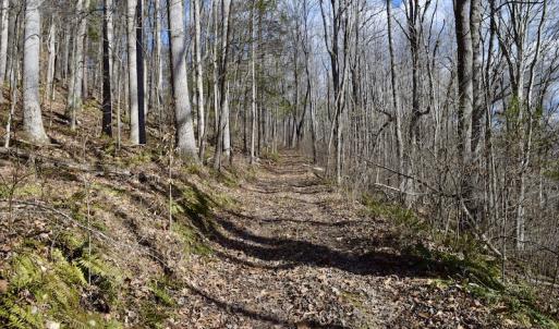 Photo #42 of SOLD property in 2880 South Buffalo Rd, Lexington, VA 341.1 acres