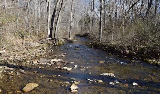 Photo #43 of SOLD property in 2880 South Buffalo Rd, Lexington, VA 341.1 acres