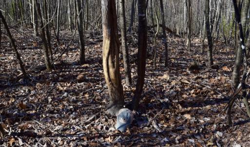 Photo #45 of SOLD property in 2880 South Buffalo Rd, Lexington, VA 341.1 acres