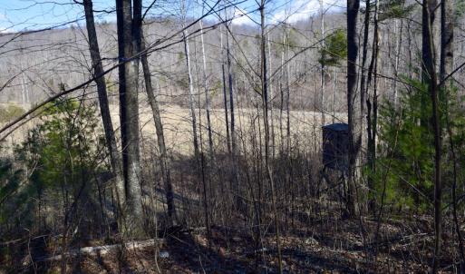 Photo #46 of SOLD property in 2880 South Buffalo Rd, Lexington, VA 341.1 acres