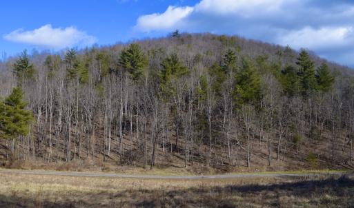 Photo #47 of SOLD property in 2880 South Buffalo Rd, Lexington, VA 341.1 acres