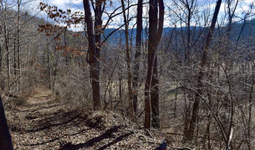 Photo #50 of SOLD property in 2880 South Buffalo Rd, Lexington, VA 341.1 acres