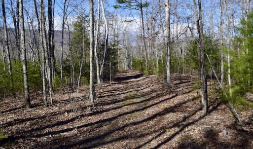 Photo #51 of SOLD property in 2880 South Buffalo Rd, Lexington, VA 341.1 acres