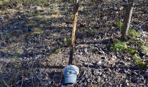 Photo #57 of SOLD property in 2880 South Buffalo Rd, Lexington, VA 341.1 acres
