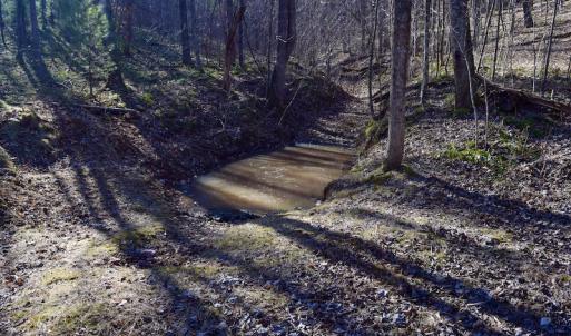 Photo #58 of SOLD property in 2880 South Buffalo Rd, Lexington, VA 341.1 acres