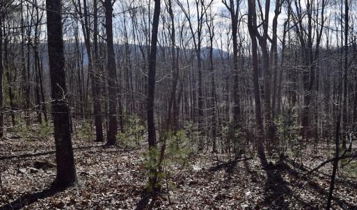 Photo #60 of SOLD property in 2880 South Buffalo Rd, Lexington, VA 341.1 acres