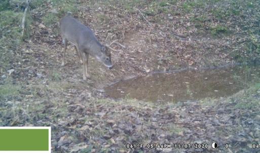 Photo #66 of SOLD property in 2880 South Buffalo Rd, Lexington, VA 341.1 acres
