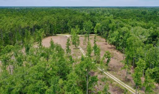 Photo #12 of SOLD property in 130 Deep Creek Drive, New Bern, NC 50.0 acres