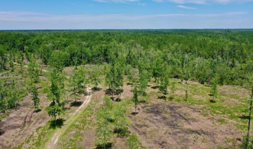 Photo #13 of SOLD property in 130 Deep Creek Drive, New Bern, NC 50.0 acres