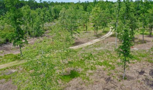Photo #14 of SOLD property in 130 Deep Creek Drive, New Bern, NC 50.0 acres