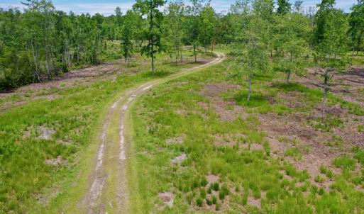 Photo #15 of SOLD property in 130 Deep Creek Drive, New Bern, NC 50.0 acres