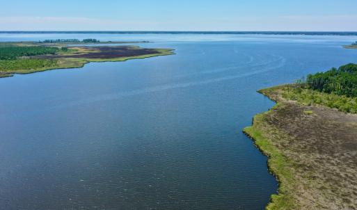 Photo #17 of SOLD property in 130 Deep Creek Drive, New Bern, NC 50.0 acres