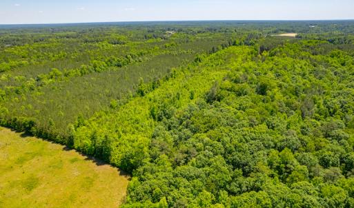 Photo #8 of SOLD property in Off NC 98 HWY, Louisburg, NC 16.0 acres