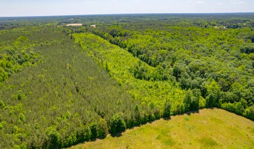 Photo #12 of SOLD property in Off NC 98 HWY, Louisburg, NC 16.0 acres