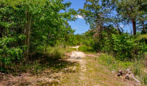 Photo #13 of SOLD property in Off NC 98 HWY, Louisburg, NC 16.0 acres