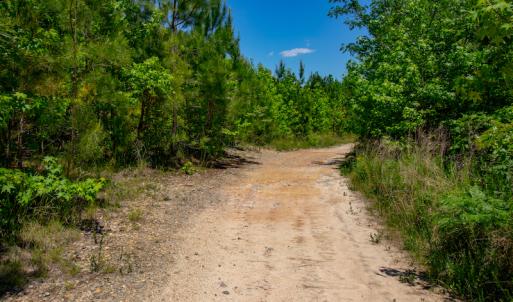 Photo #14 of SOLD property in Off NC 98 HWY, Louisburg, NC 16.0 acres