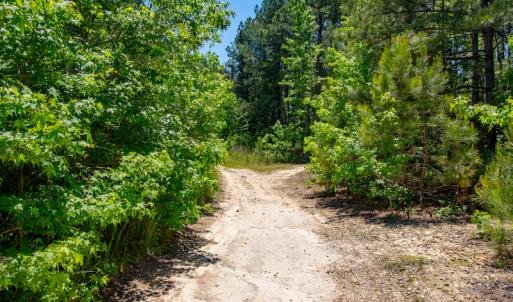 Photo #15 of SOLD property in Off NC 98 HWY, Louisburg, NC 16.0 acres