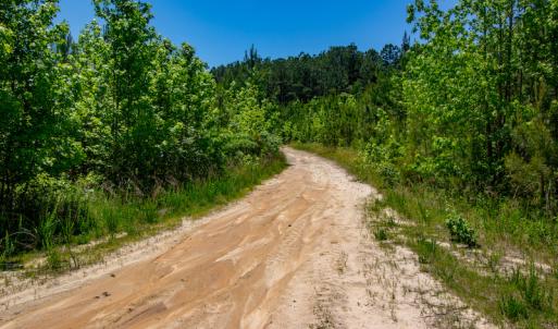 Photo #16 of SOLD property in Off NC 98 HWY, Louisburg, NC 16.0 acres