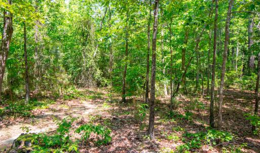 Photo #17 of SOLD property in Off NC 98 HWY, Louisburg, NC 16.0 acres