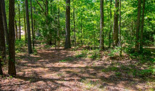 Photo #18 of SOLD property in Off NC 98 HWY, Louisburg, NC 16.0 acres