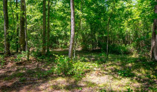 Photo #19 of SOLD property in Off NC 98 HWY, Louisburg, NC 16.0 acres