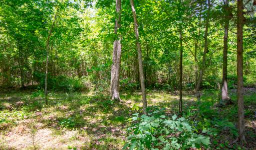 Photo #20 of SOLD property in Off NC 98 HWY, Louisburg, NC 16.0 acres