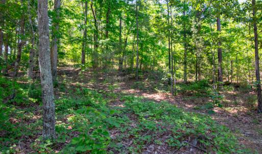 Photo #21 of SOLD property in Off NC 98 HWY, Louisburg, NC 16.0 acres