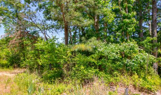 Photo #22 of SOLD property in Off NC 98 HWY, Louisburg, NC 16.0 acres