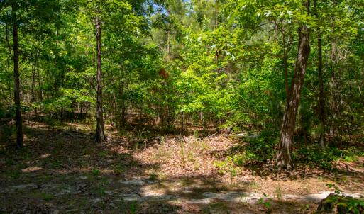 Photo #23 of SOLD property in Off NC 98 HWY, Louisburg, NC 16.0 acres