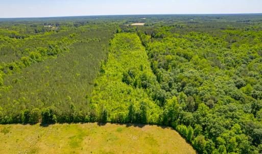 Photo #7 of SOLD property in Off NC 98 HWY, Louisburg, NC 16.0 acres