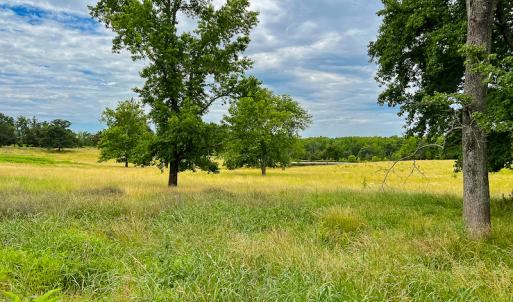 Photo #19 of 2235 Cherry Grove Road, Yanceyville, NC 11.2 acres