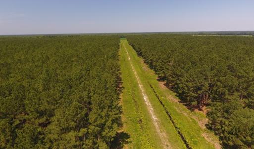 Photo #3 of Off Kingtown Road NW, Ash, NC 99.1 acres