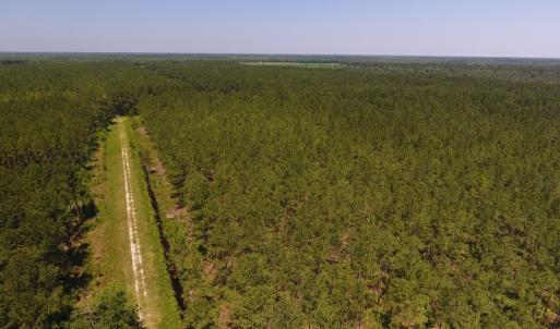 Photo #5 of Off Kingtown Road NW, Ash, NC 99.1 acres