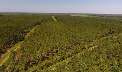 Photo #8 of Off Kingtown Road NW, Ash, NC 99.1 acres