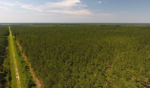 Photo #4 of Off Kingtown Road NW, Ash, NC 99.1 acres